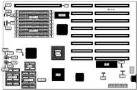 AUVA COMPUTER, INC.   TAM33-P1/TAM40-P1