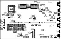 AMERICAN PREDATOR CORPORATION   PREDATOR LPX