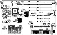 OCEAN INFORMATION SYSTEMS, INC.   HIPPO 12 486