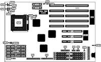 MYLEX CORPORATION   MGPS-PNTM